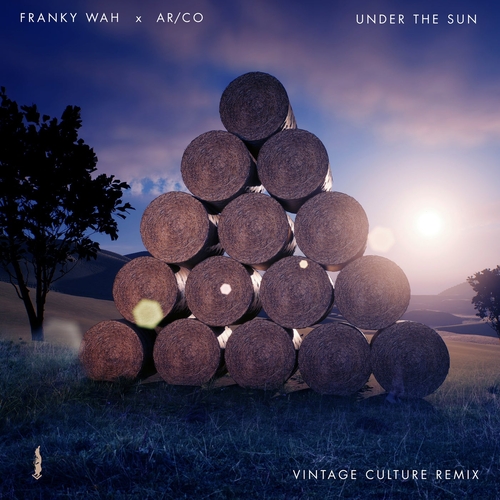 Franky Wah, AR-CO - Under The Sun (Vintage Culture Extended Remix) [190296078705]
